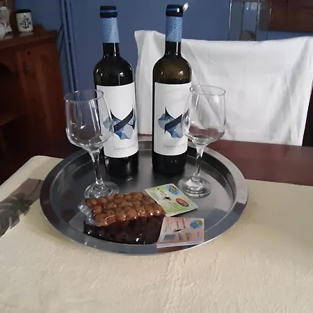 Вилла Seafront Joan Неа-Скиони