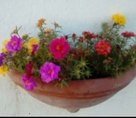 Seafront Joan Вилла