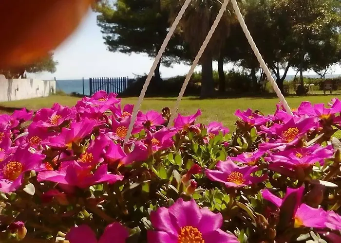 Seafront Joan Villa *