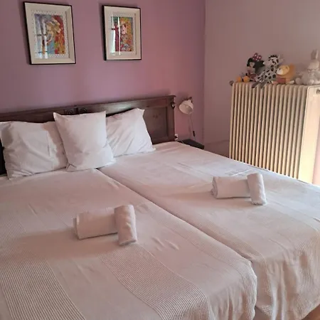 Villa Seafront Joan Nea Skioni