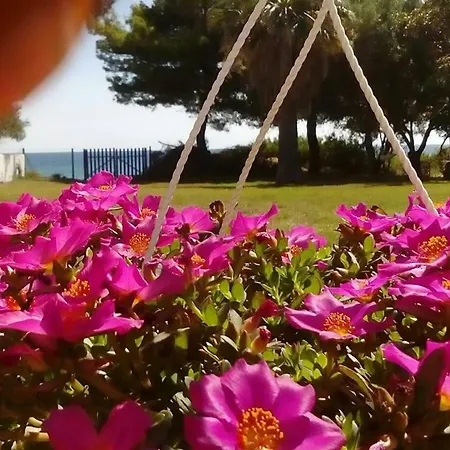 Seafront Joan Villa *